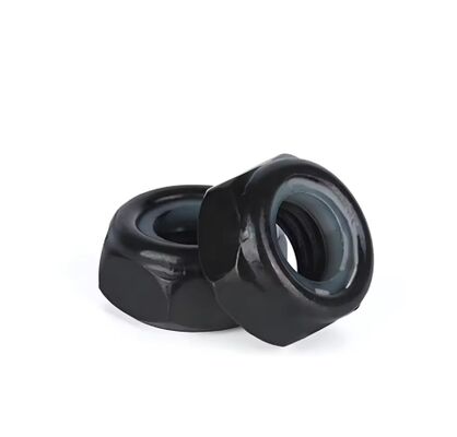 M2-M8 304 Stainless Steel Black Hex Nylon Insert Lock Nuts & Bolts for Mining Applications DIN985 Standard Brand SWT