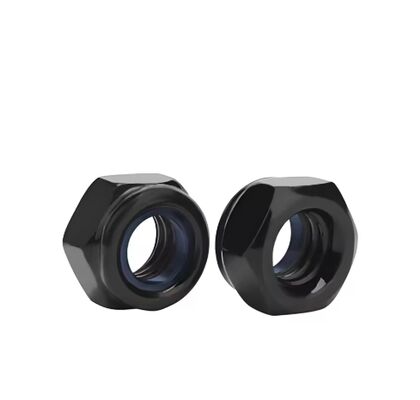 M2-M8 304 Stainless Steel Black Hex Nylon Insert Lock Nuts & Bolts for Mining Applications DIN985 Standard Brand SWT