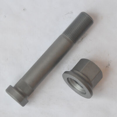 Wheel Hub Bolt and Nut for Iveco Truck Oem 42117452